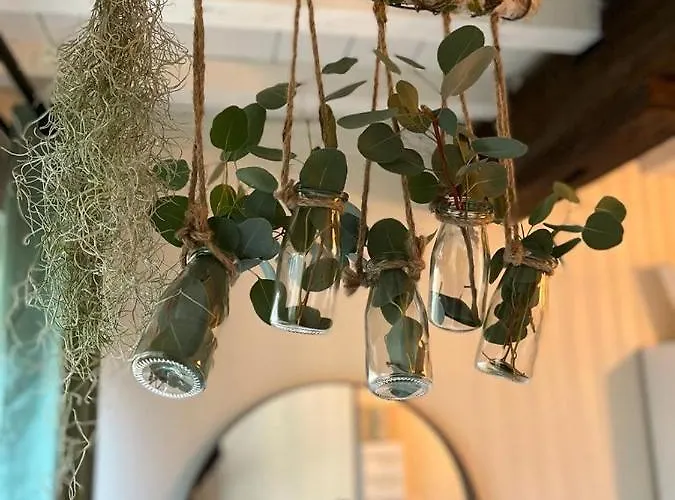 Les Hortillonnages_b&b Inn_centre Ville_terrasse_wifi_netflix * 아미앵